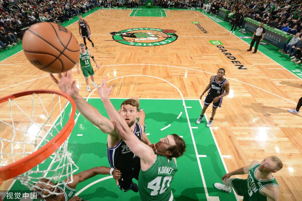 灰熊似乎不 灰熊似乎不